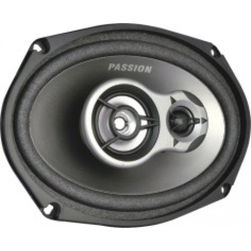 Xenos Car Audio System Oval Speaker PS 693 300