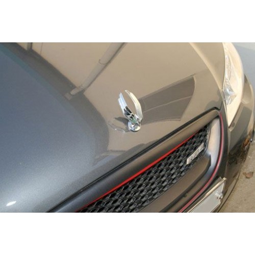 Car Hood Ornament - SQ plus Eagle Wing Style