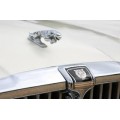 Car Hood Ornament - Jaguar