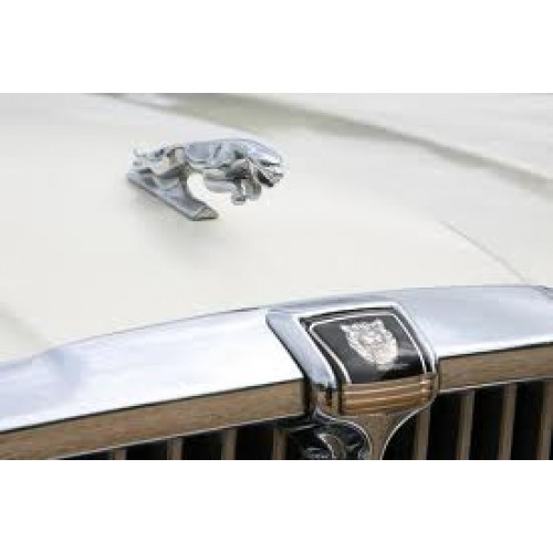 Car Hood Ornament - Jaguar