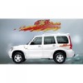 Autographix - Body Graphics - Offroader