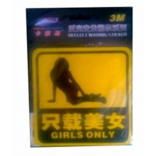 Car Sticker - Girls In Car Sticker